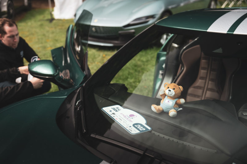 Ourson "Le Rallye du Cœur" – Image 2