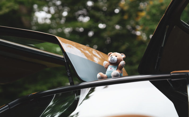 Ourson "Le Rallye du Cœur"